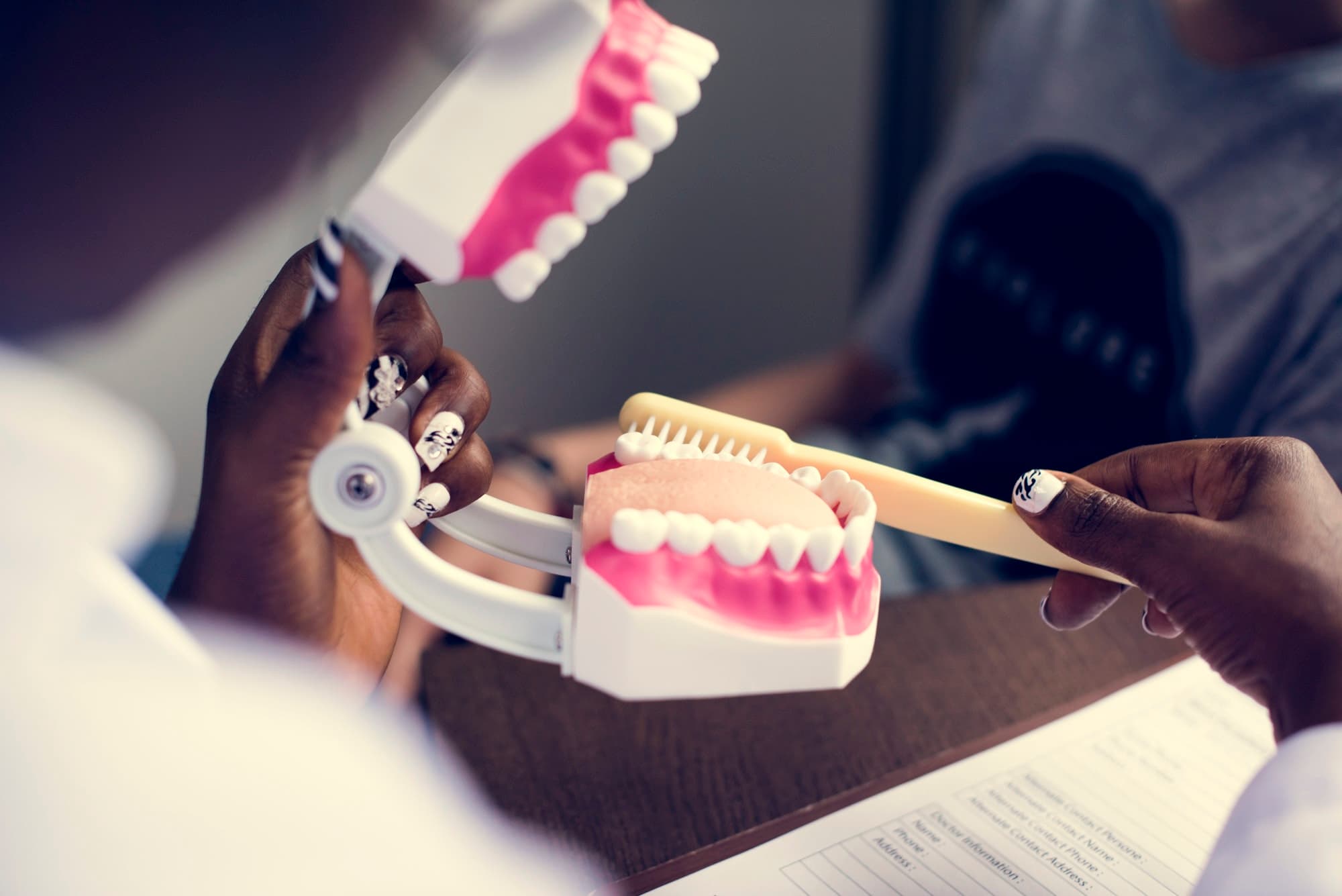 Dental jaw model used for patient education